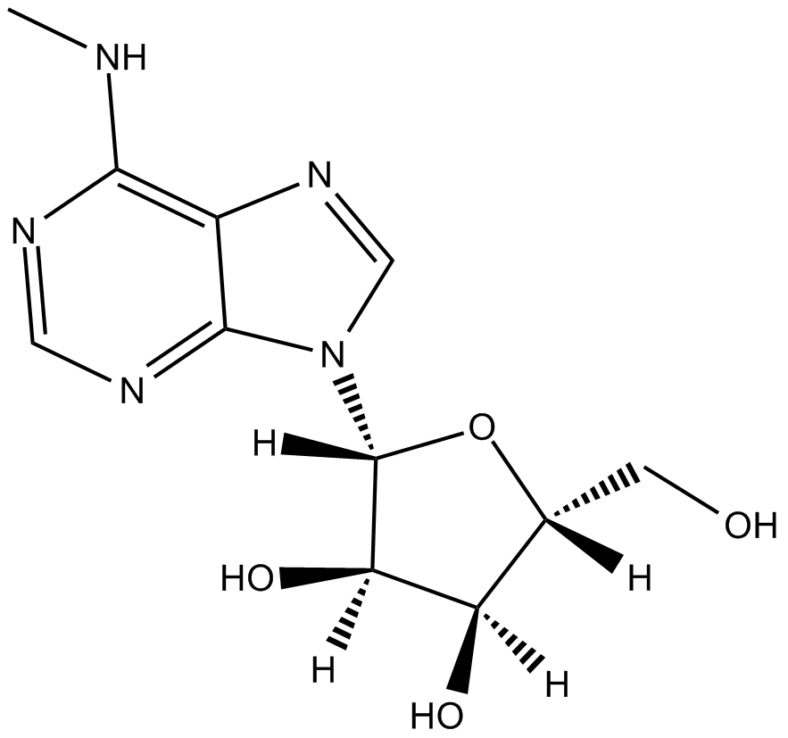 N6-methyladenosine (m6A)