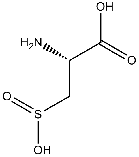 L-Cysteinesulfinic acid