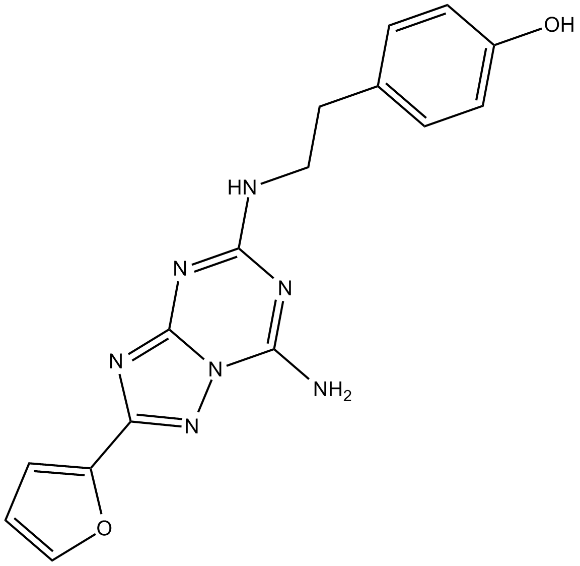 ZM 241385