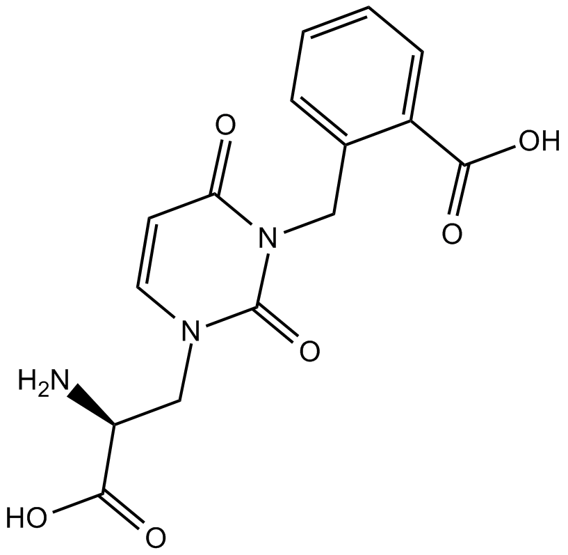 UBP 302