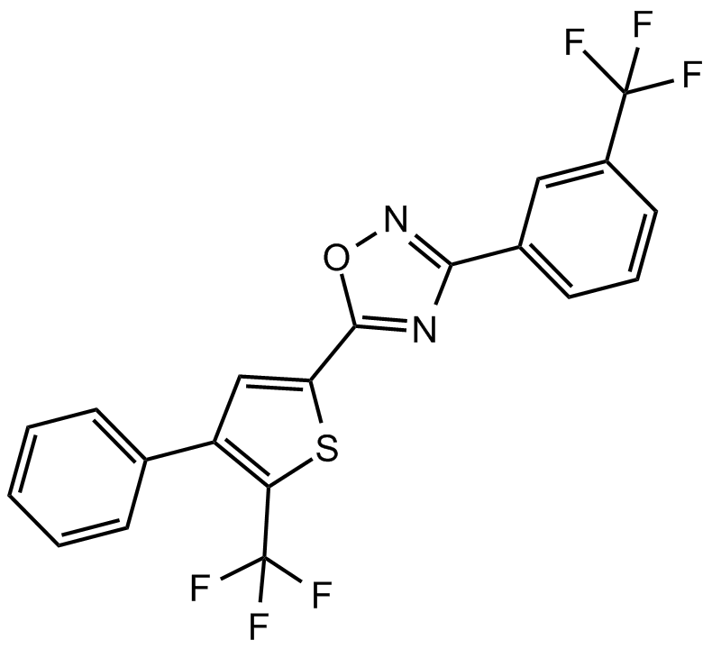 SEW 2871