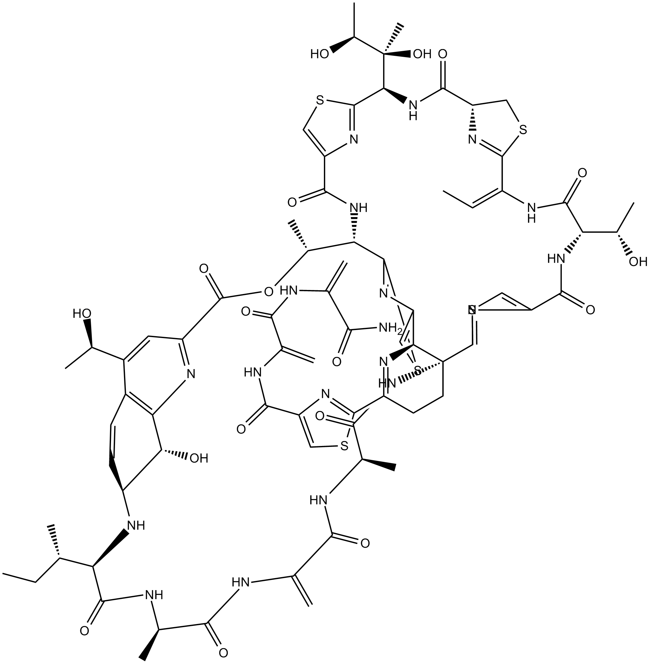 Thiostrepton