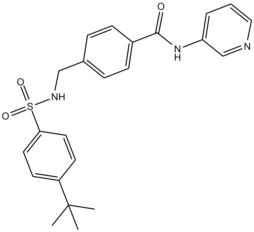 STF 31