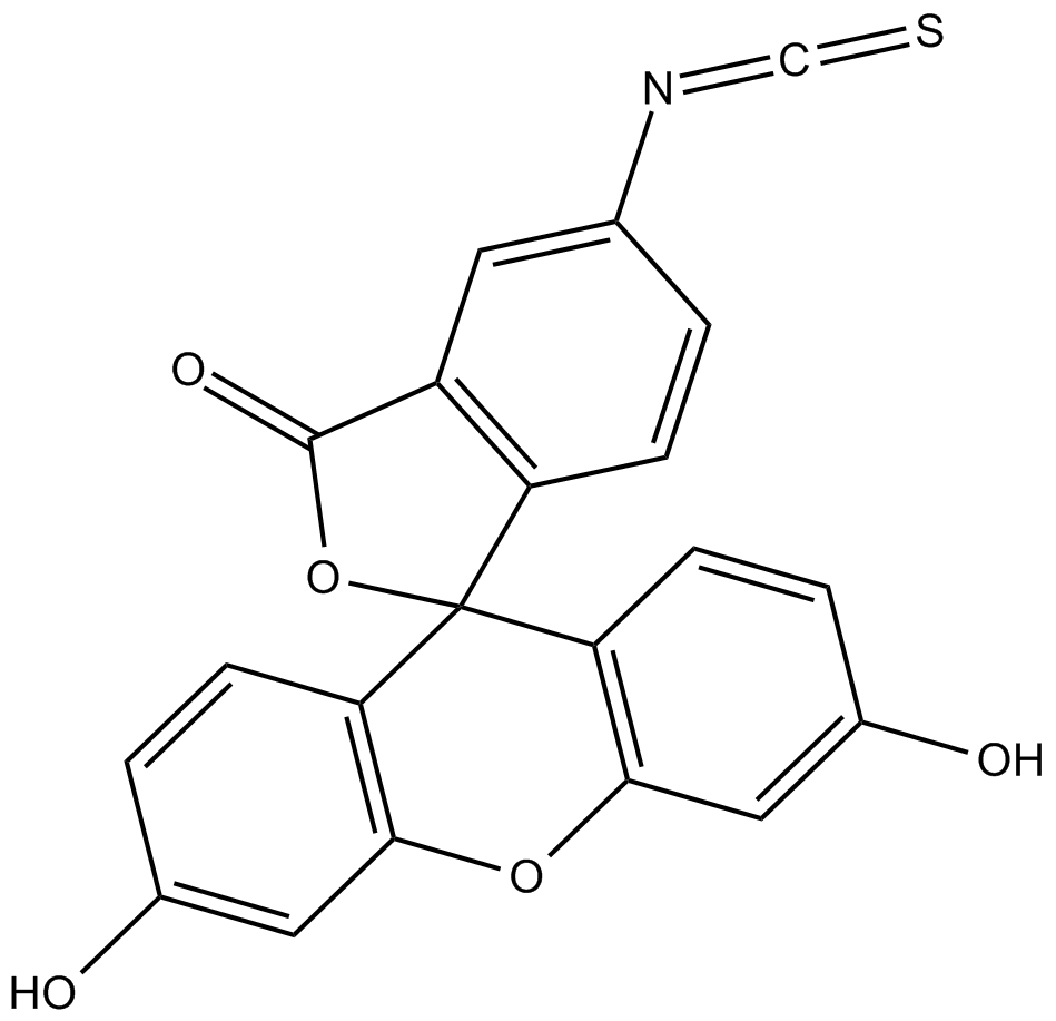 FITC, Fluorescein isothiocyanate