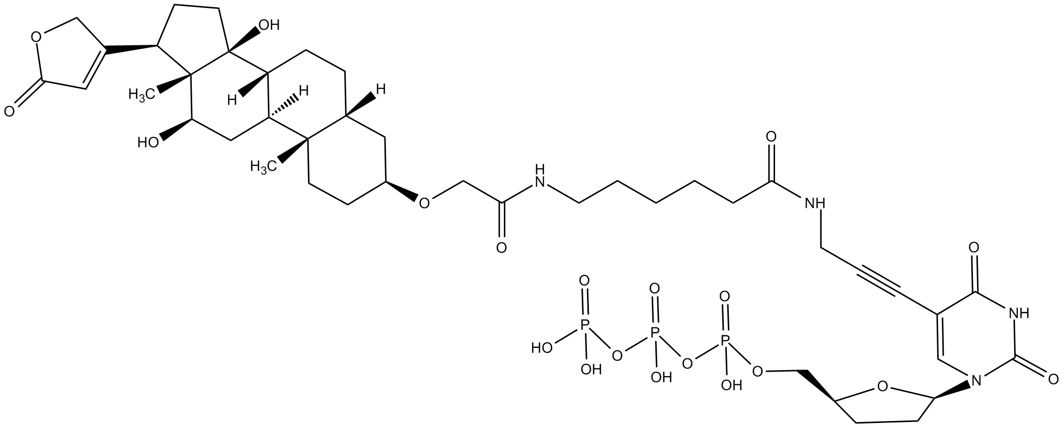 Digoxigenin-11-ddUTP