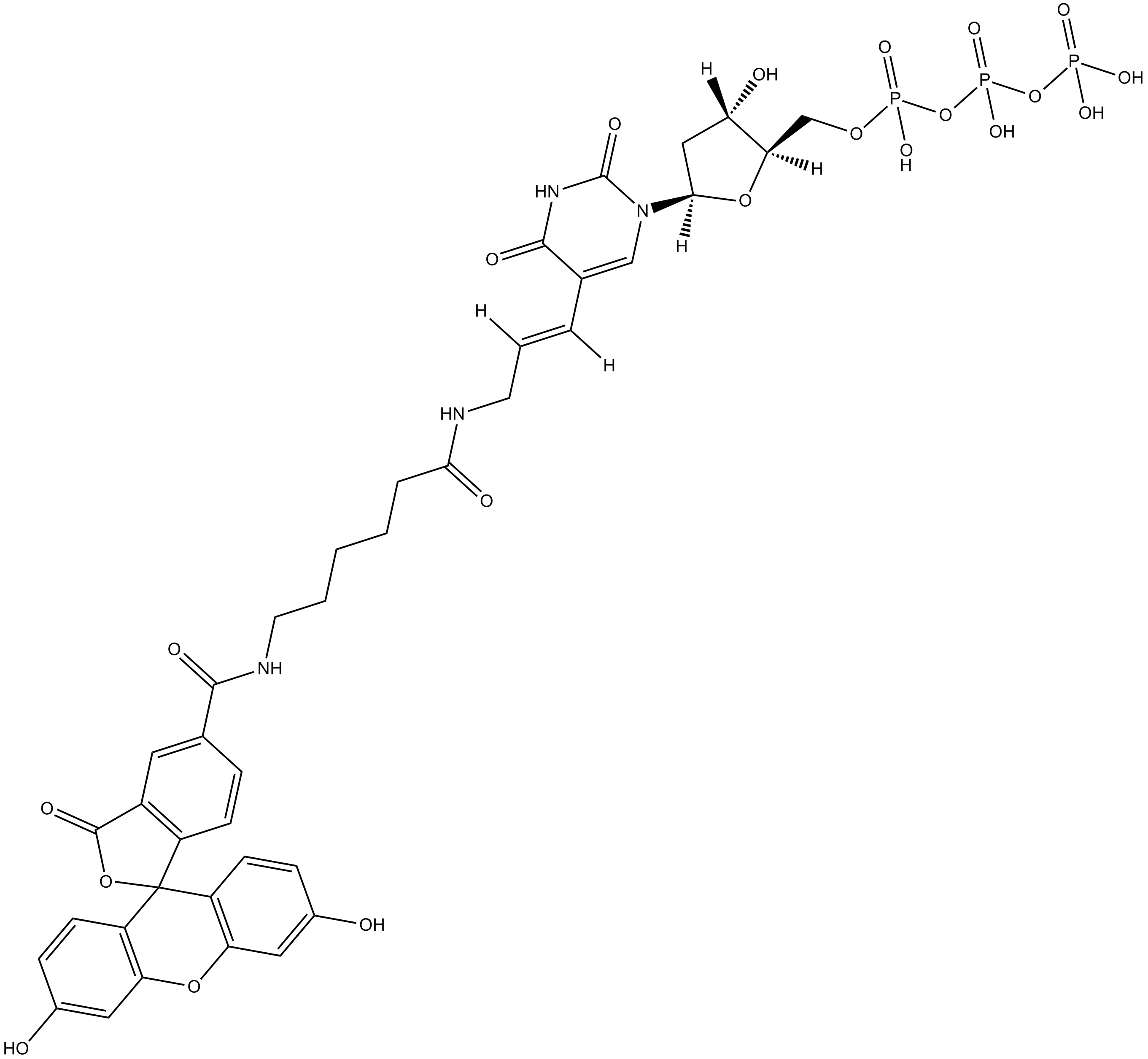 Fluorescein-12-dUTP