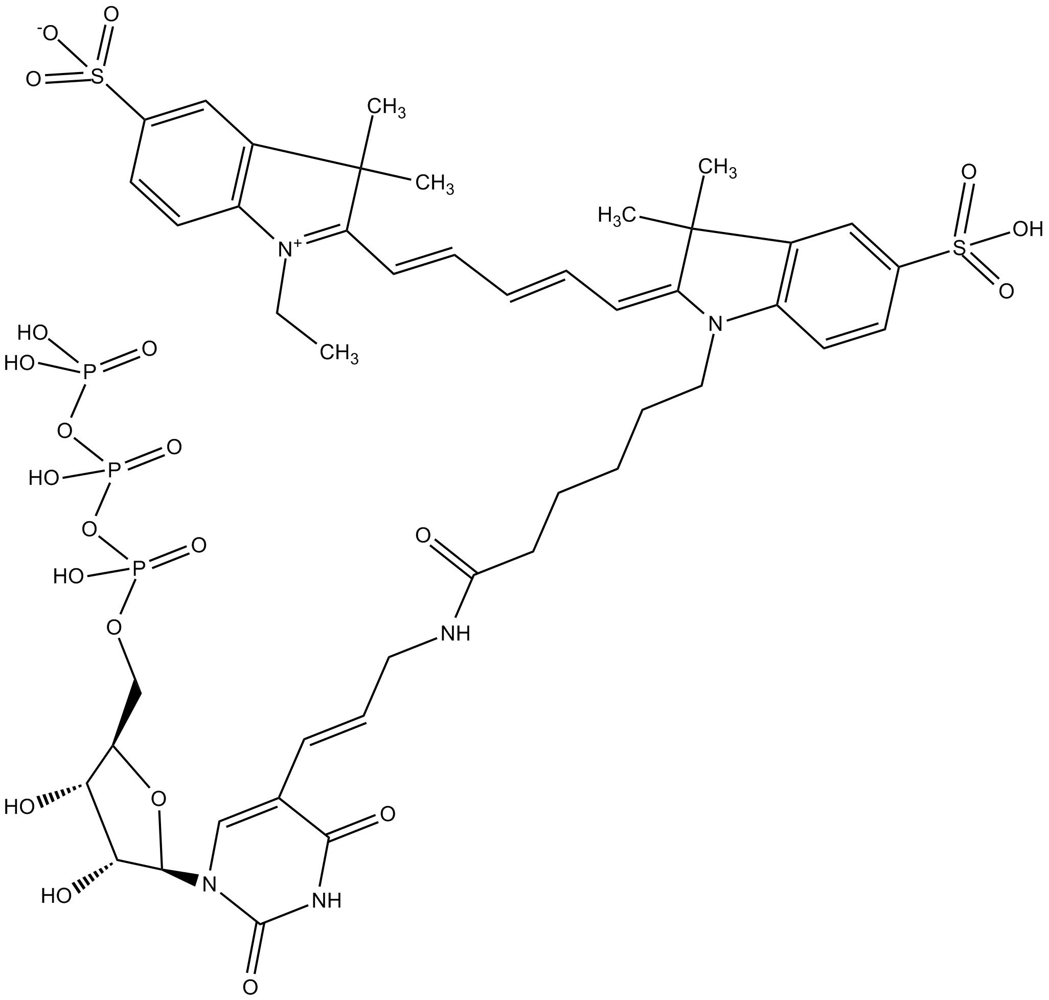 Aminoallyl-UTP - Cy5