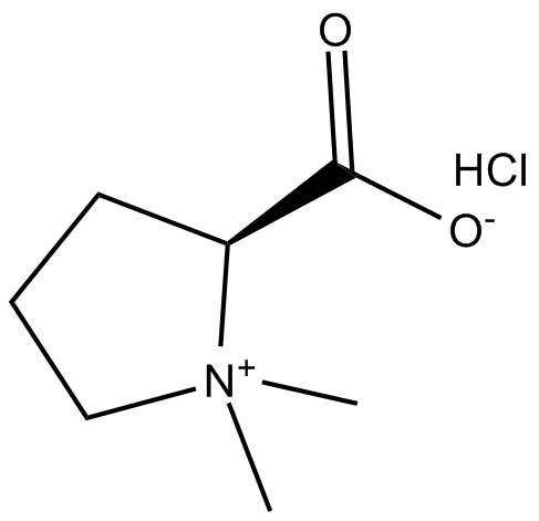 Stachydrine (hydrochloride)