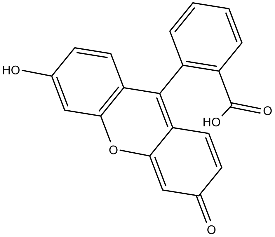 fluorescein,trough fluorescein
