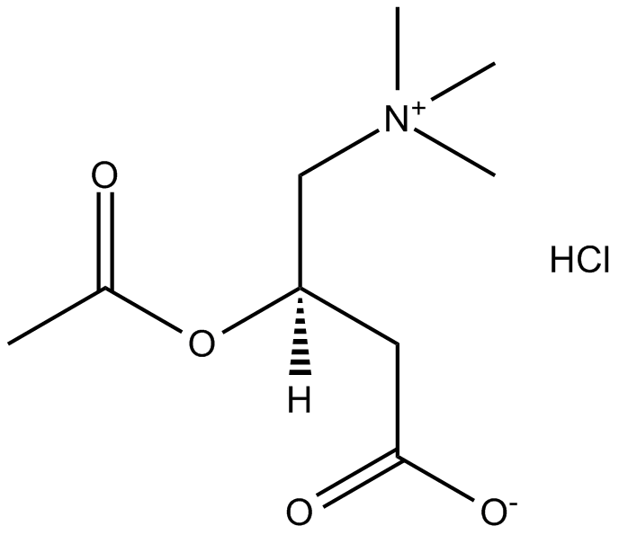 美国APExBIO中文官网 OAcetylLcarnitine hydrochloride CAS 5080502