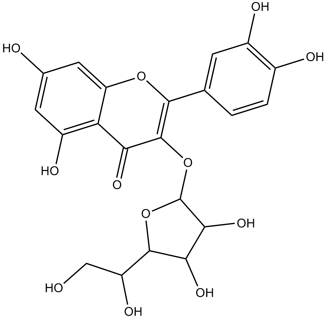 Isoquercitrin;Isoquercetin; Isoquercitroside