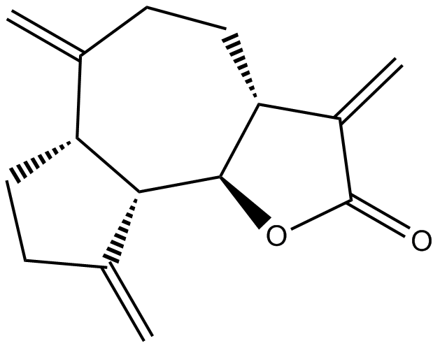 Dehydrocostus Lactone