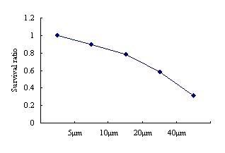 Amyloid Beta-peptide (25-35) (human)