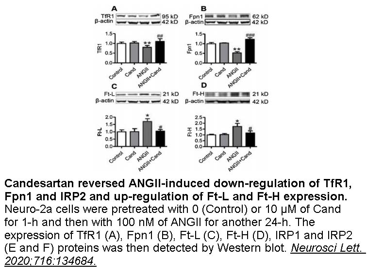 Angiotensin II HUMAN