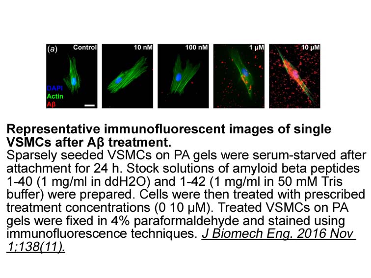 Amyloid?Beta-Peptide (1-40) (human)