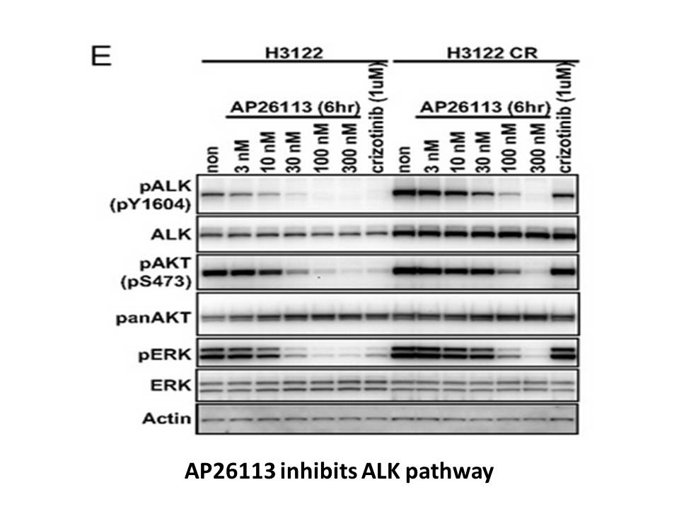 ALK-IN-1