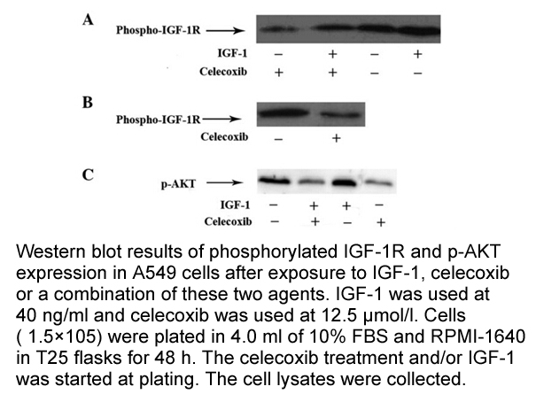 Celecoxib