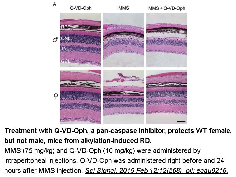 Q-VD-OPh