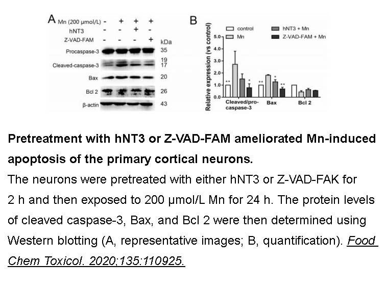 Z-VAD-FMK Z-VAD-FMK