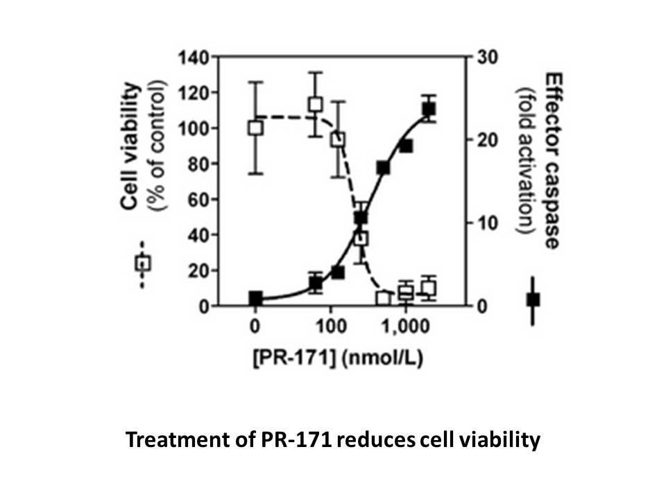 Carfilzomib (PR-171)