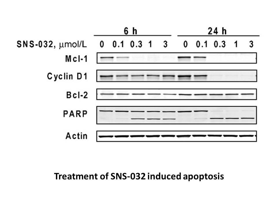 SNS-032 (BMS-387032)