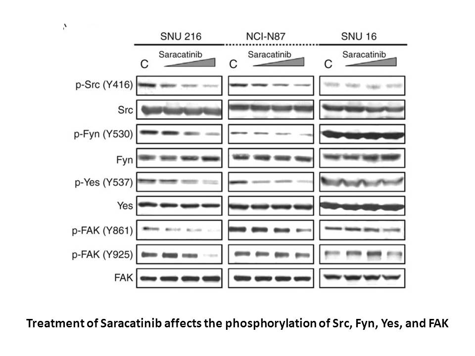 Saracatinib (AZD0530)