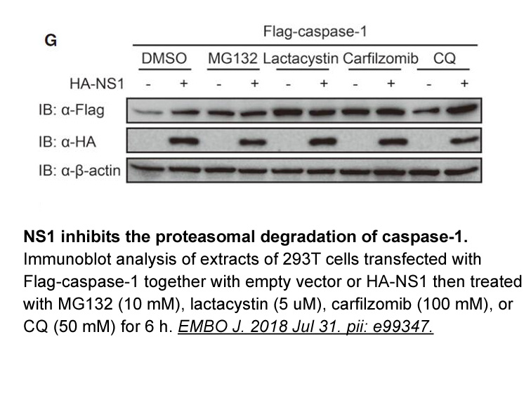 Lactacystin (Synthetic)