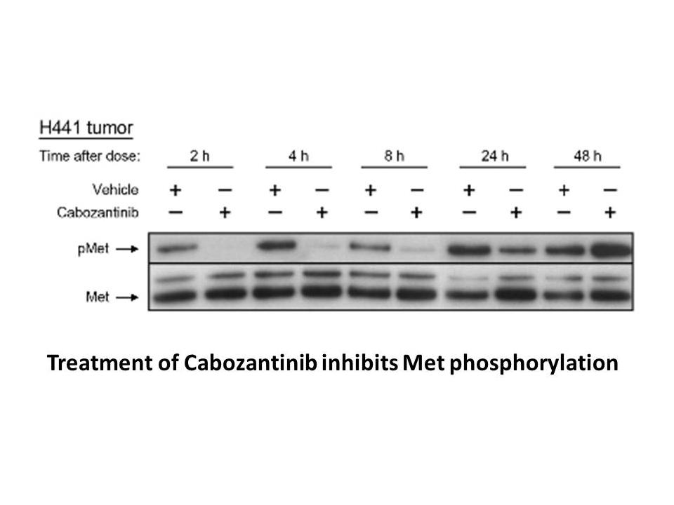 Cabozantinib (XL184, BMS-907351)