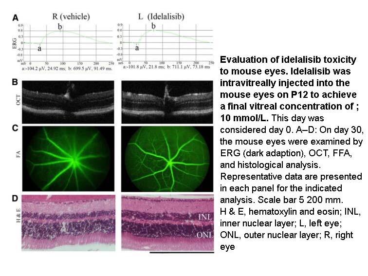 CAL-101 (Idelalisib, GS-1101)