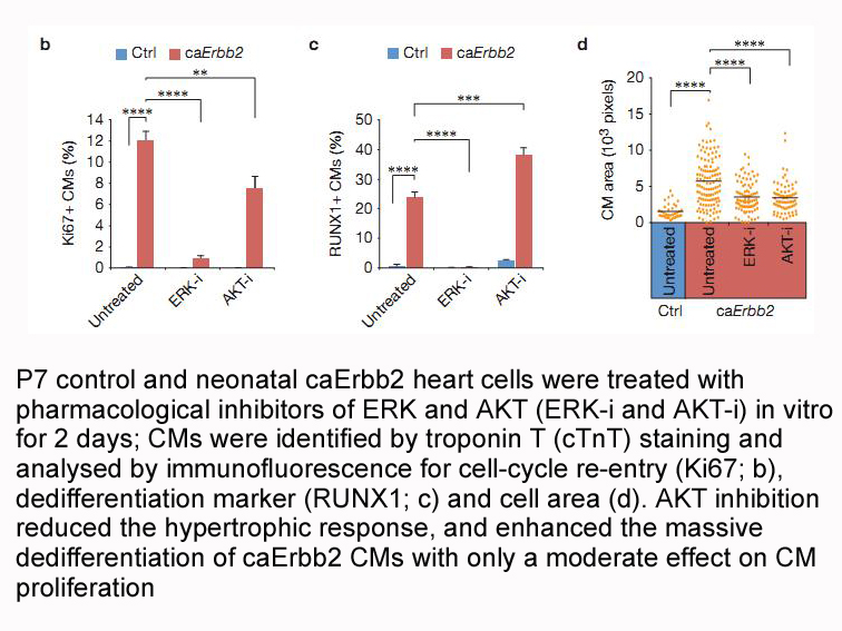 AKT inhibitor VIII