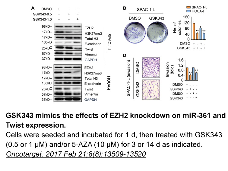 GSK343