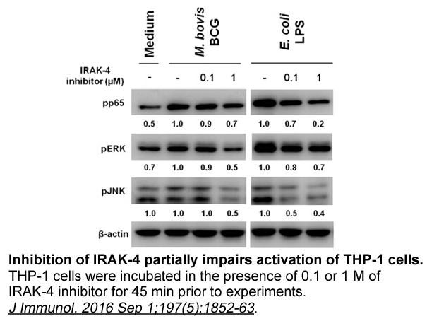 IRAK inhibitor