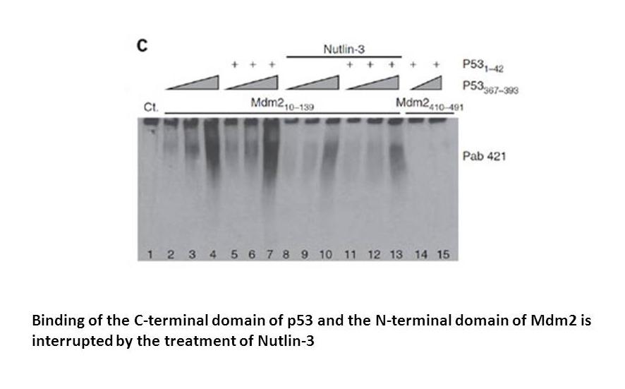 Nutlin-3a chiral