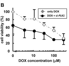 Doxorubicin Doxorubicin