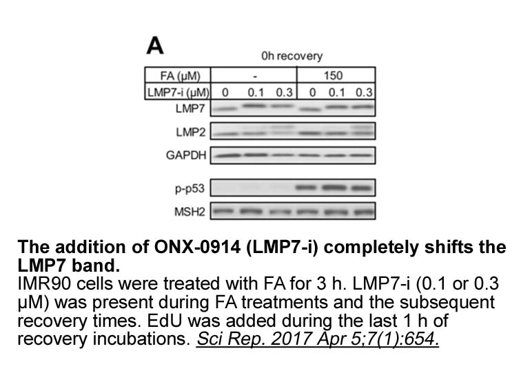 ONX-0914 (PR-957)