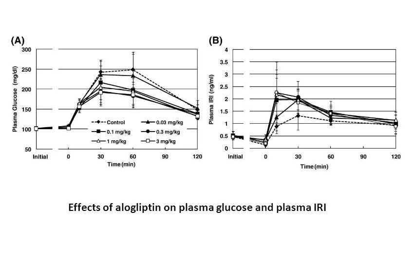 Alogliptin (SYR-322) Alogliptin (SYR-322)