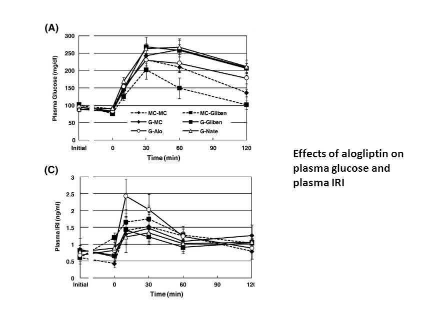 Alogliptin (SYR-322) Alogliptin (SYR-322)