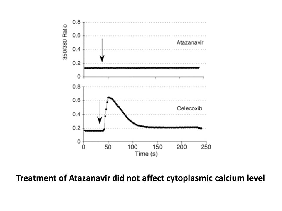 Atazanavir sulfate (BMS-232632-05)