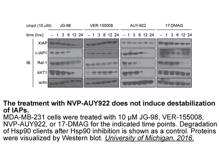 AUY922 (NVP-AUY922)