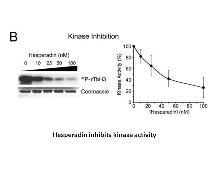 Hesperadin