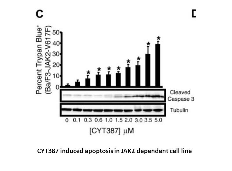 CYT387