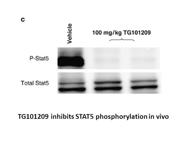 TG101209