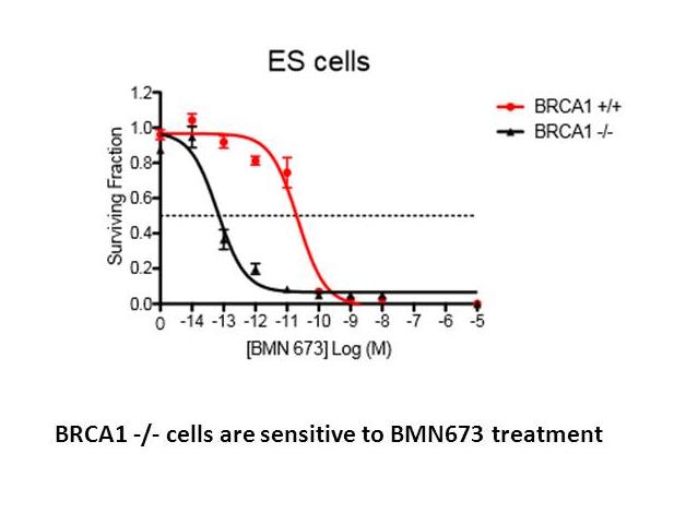 BMN 673