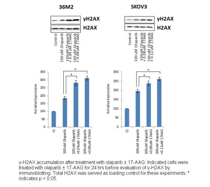 Olaparib (AZD2281, Ku-0059436) Olaparib (AZD2281, Ku-0059436)