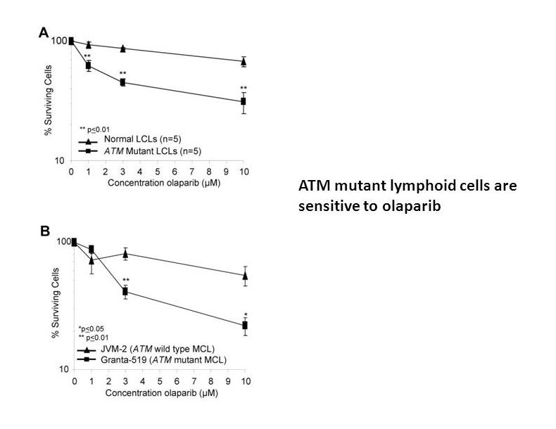 Olaparib (AZD2281, Ku-0059436) Olaparib (AZD2281, Ku-0059436)