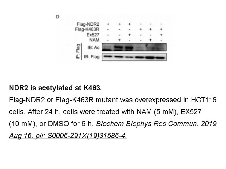 EX 527 (SEN0014196)