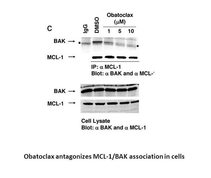 Obatoclax mesylate (GX15-070)