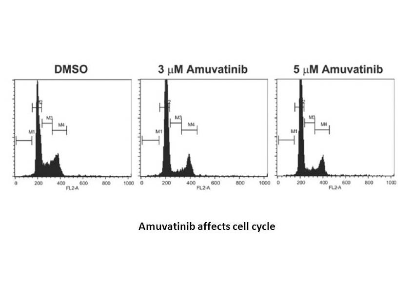 Amuvatinib (MP-470, HPK 56)