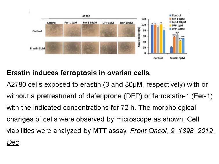 Ferrostatin-1 (Fer-1) Ferrostatin-1 (Fer-1)