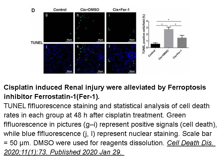 Ferrostatin-1 (Fer-1) Ferrostatin-1 (Fer-1)